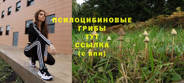 хмурый Гусиноозёрск