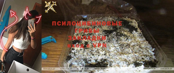 гидропоника Гусь-Хрустальный