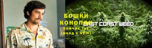 гидропоника Гусь-Хрустальный